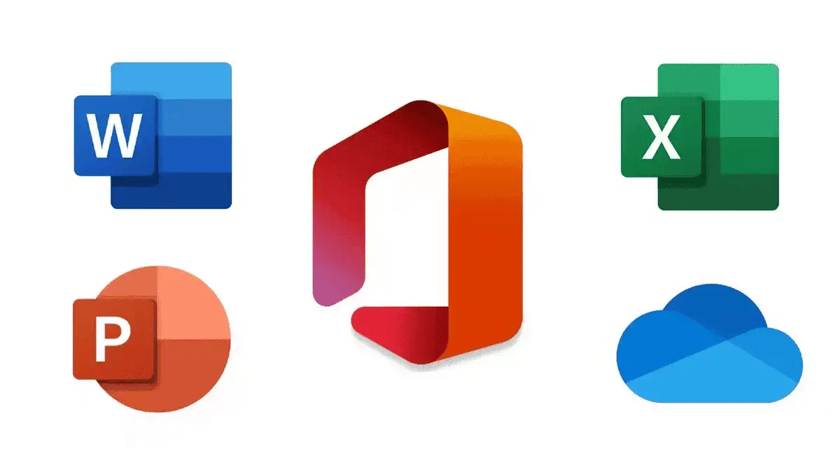 MS Office course
